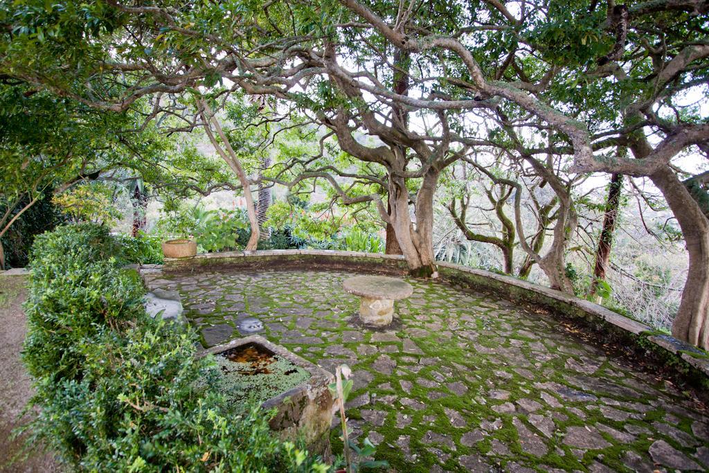 Hotel Quinta De Sao Thiago à Sintra Extérieur photo