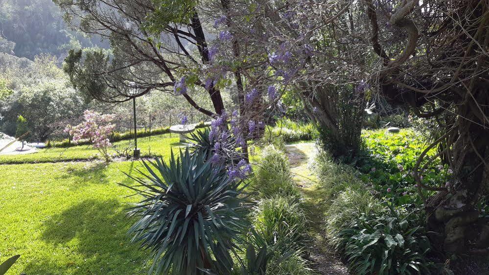Hotel Quinta De Sao Thiago à Sintra Extérieur photo