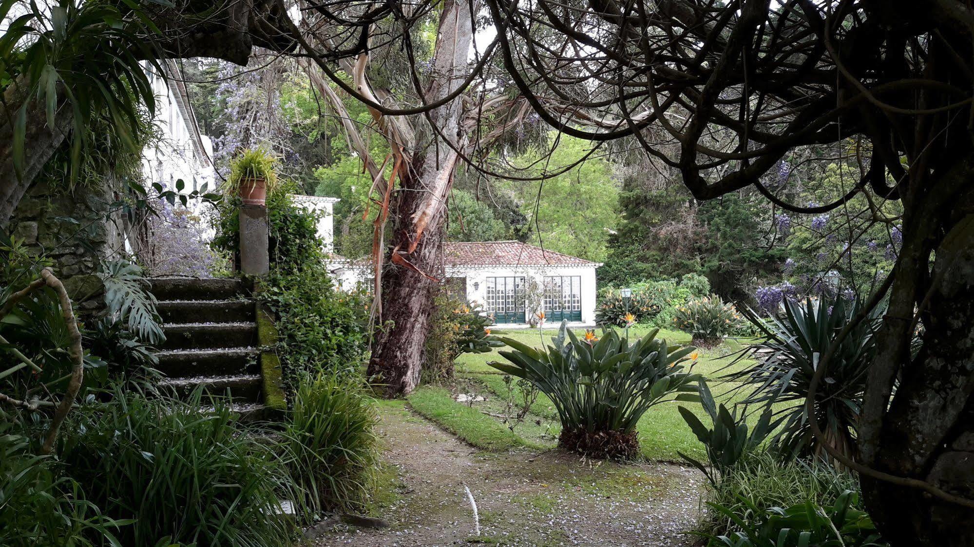 Hotel Quinta De Sao Thiago à Sintra Extérieur photo